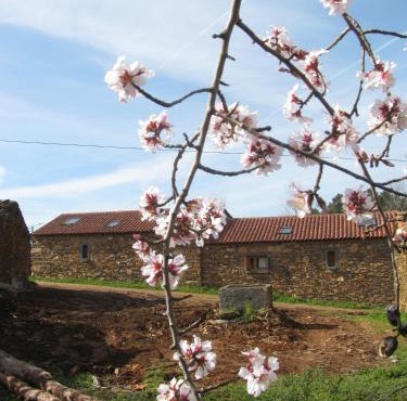 Quinta dos Baldo