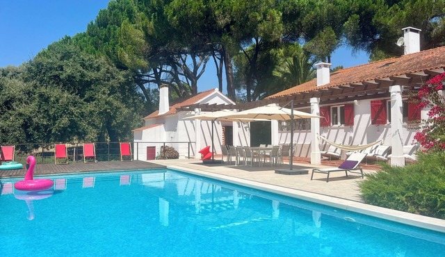 Quinta Vale da Nora, Perfeito Para Descansar e Entreter com Piscina Privada