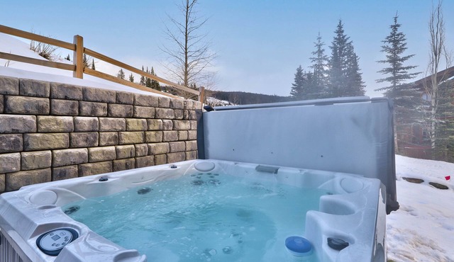 RARE Luxury ski in/out *Private Hot tub, EV charger, BBQ, Double heated garage*