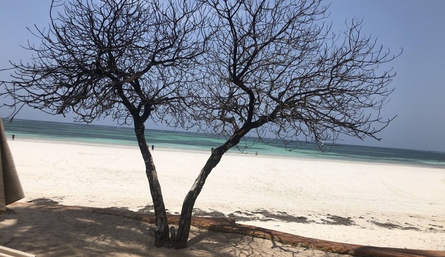 Relax and rejuvenate in South Coast of Kenya: Beach front property sleeps 6 ,