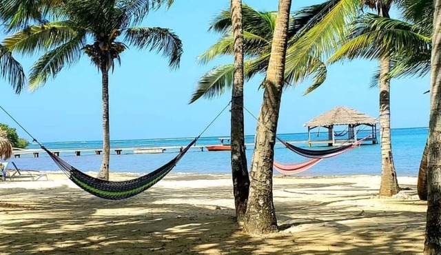 Relaxing Beachfront Bungalow, Best Sunsets, Pristine Reefs = Perfect Vacation