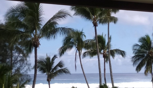 Relaxing With Ocean Views