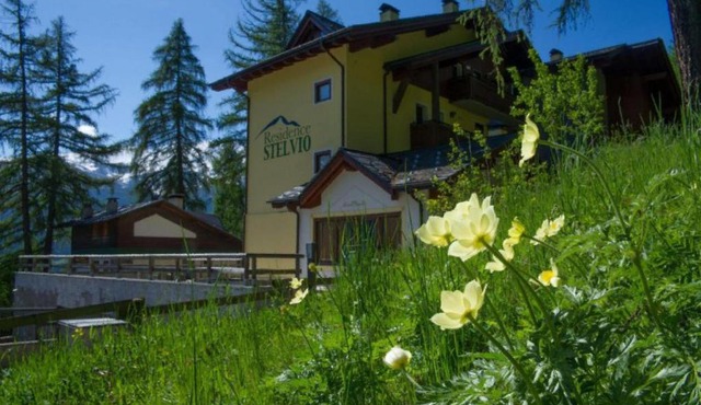 Residence Stelvio