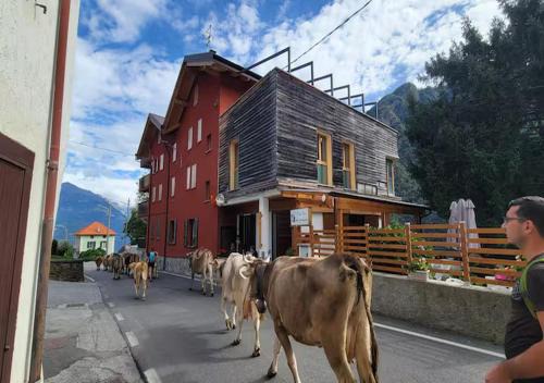Residence Valgerola