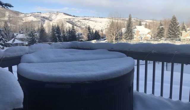 Resort Amenities, close to ski hill, athletic club, family sized condo, hot tub.