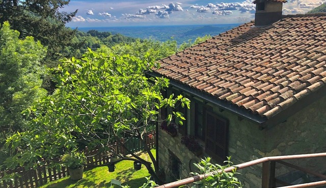 RUSTIC BELLAVISTA