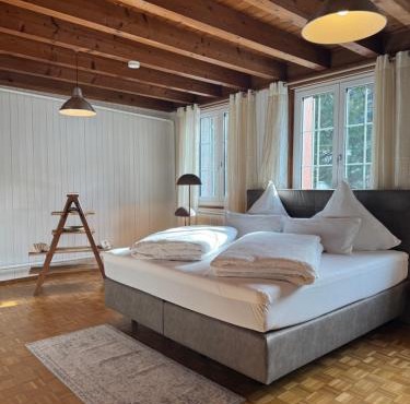 Schweizerhaus Glarus - Historisch & Stilvoll mit Garten