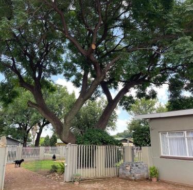 Shady Seringa Accommodation