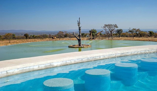 Shekinah Lion and Game Lodge