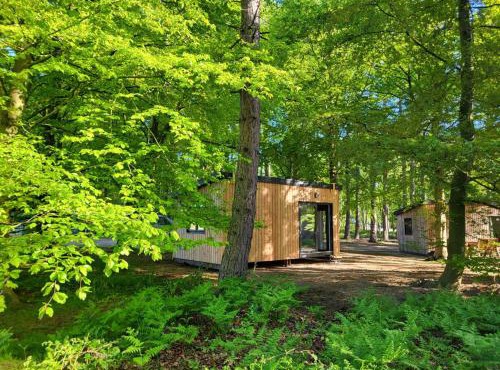 Sherwood Pines - Deluxe Pod 2