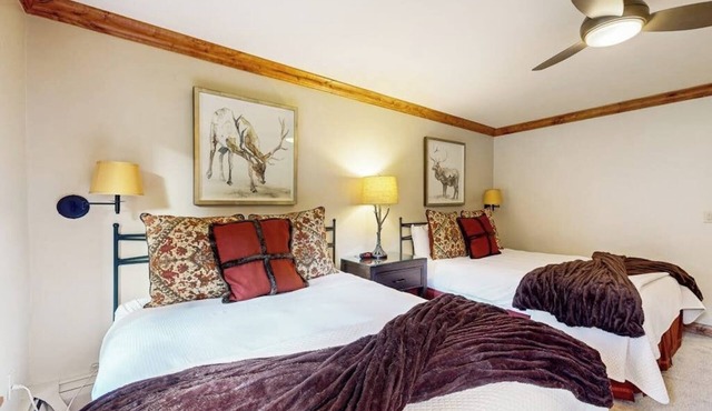 Ski-in/out, mountain view studio w/fast WiFi & shared pool, hot tubs, laundry