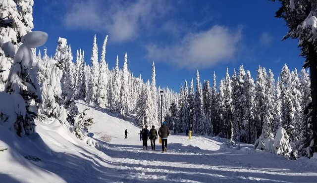 🎿 Ski-In/Ski-Out | 2Bed/2Bath Condo | 🚶‍♂️ Walk to Village