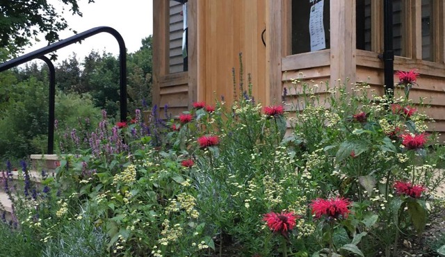 South Downs Eco Lodge & Camping
