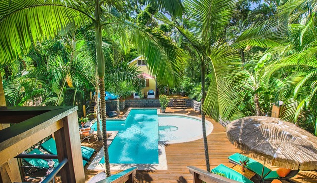 SPECTACULAR JUNGLE CANOPY TREE HOUSE WITH WATERFALL POOL & GYM!