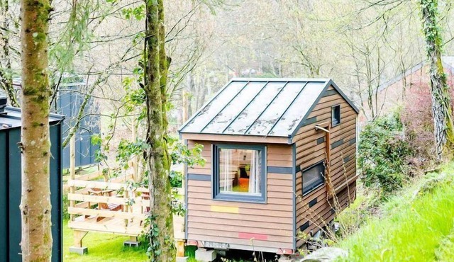 Spend the night in the middle of the Ardennes in your own Laidback Cabin!