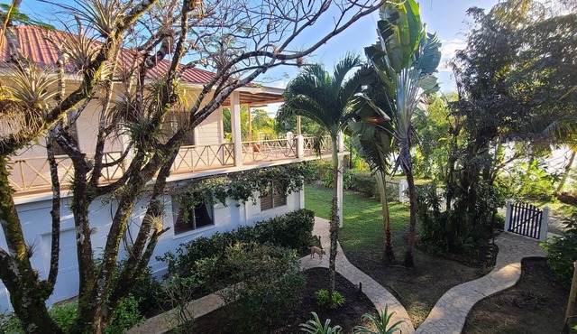 Stay, relax and explore in Seastar, our tropical oasis by the Caribbean Sea.