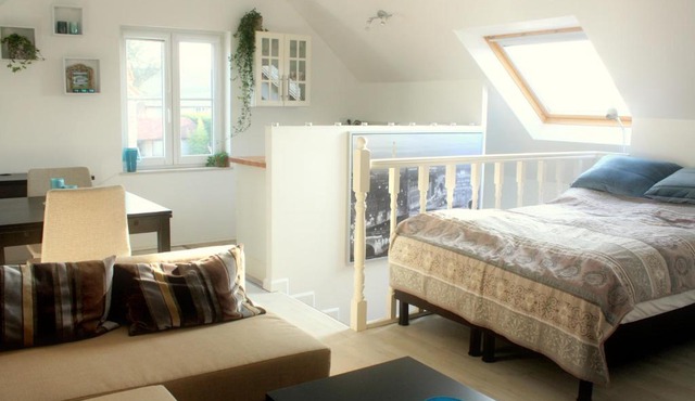 Studio Apartment Alba