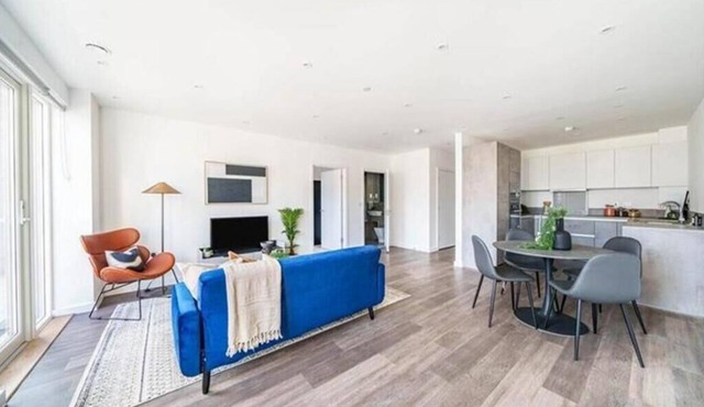 Stunning Spacious Apartment in East London