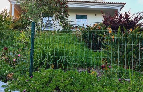 Suites Milhariça
