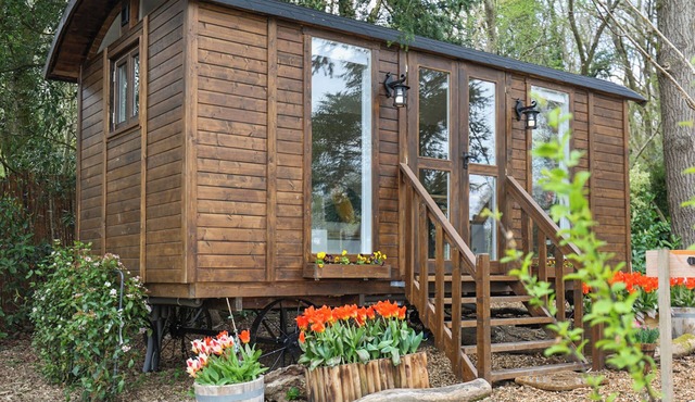 Sybs Farm Shepherds Hut