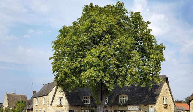 The Crown Inn