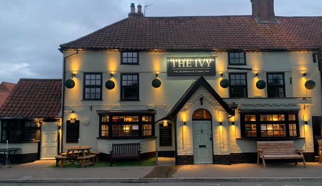 The Ivy