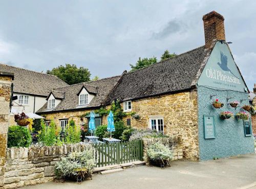 The Old Pheasant