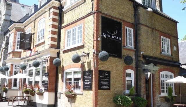 The Stag Enfield