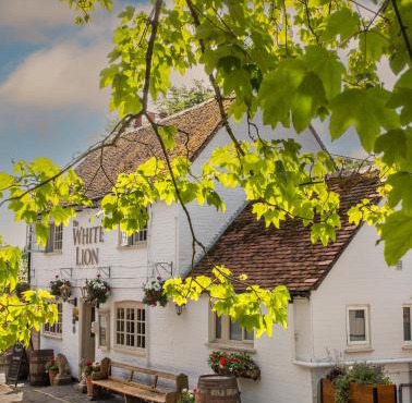 The White Lion, Soberton