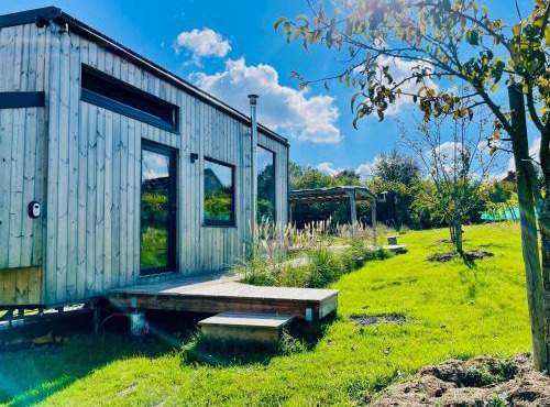 Tinyhouse au coeur d'un vignoble