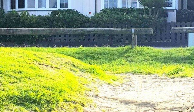 Tiromoana Beachfront Cottage. Worser Bay the heart of Wellington"s film Industry