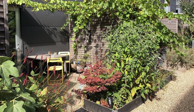Townhouse Copenhagen - live next to Noma, the seaside, and city centre!
