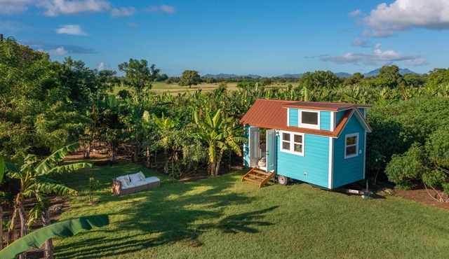 Tropical Tiny Sanctuary NEW !!! - Tiny Home 5 min from Playa de Macao