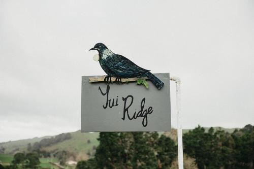 Tui Ridge Cottage