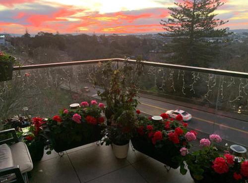 Urba Residences