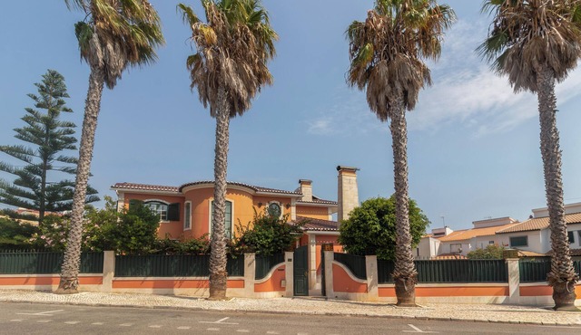 Villa Palm Trees