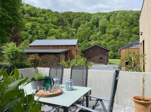 Waldblick - 4-star holiday home in Ouren