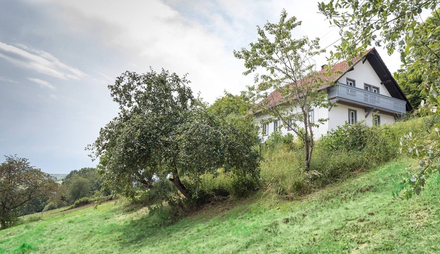 WÄLDER: Quartier Bierbonnen - Holiday home with alpine views for up to 14 people