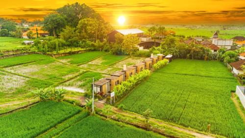 Wander Havens Digital Nomad Tiny Houses