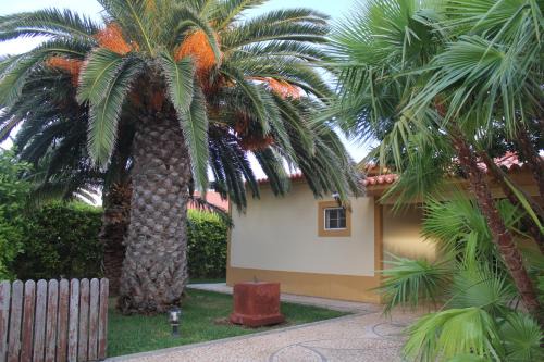 Welcoming House with Mountain View in Porto Santo