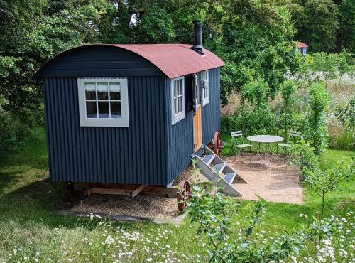Wellbeing Orchard