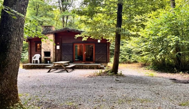 Woodland chalet in Namur