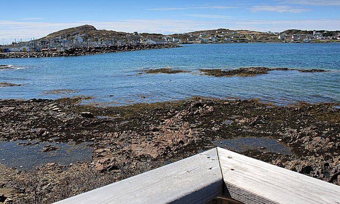 Twillingate House | 23 m² Motel ∙ 2 guests