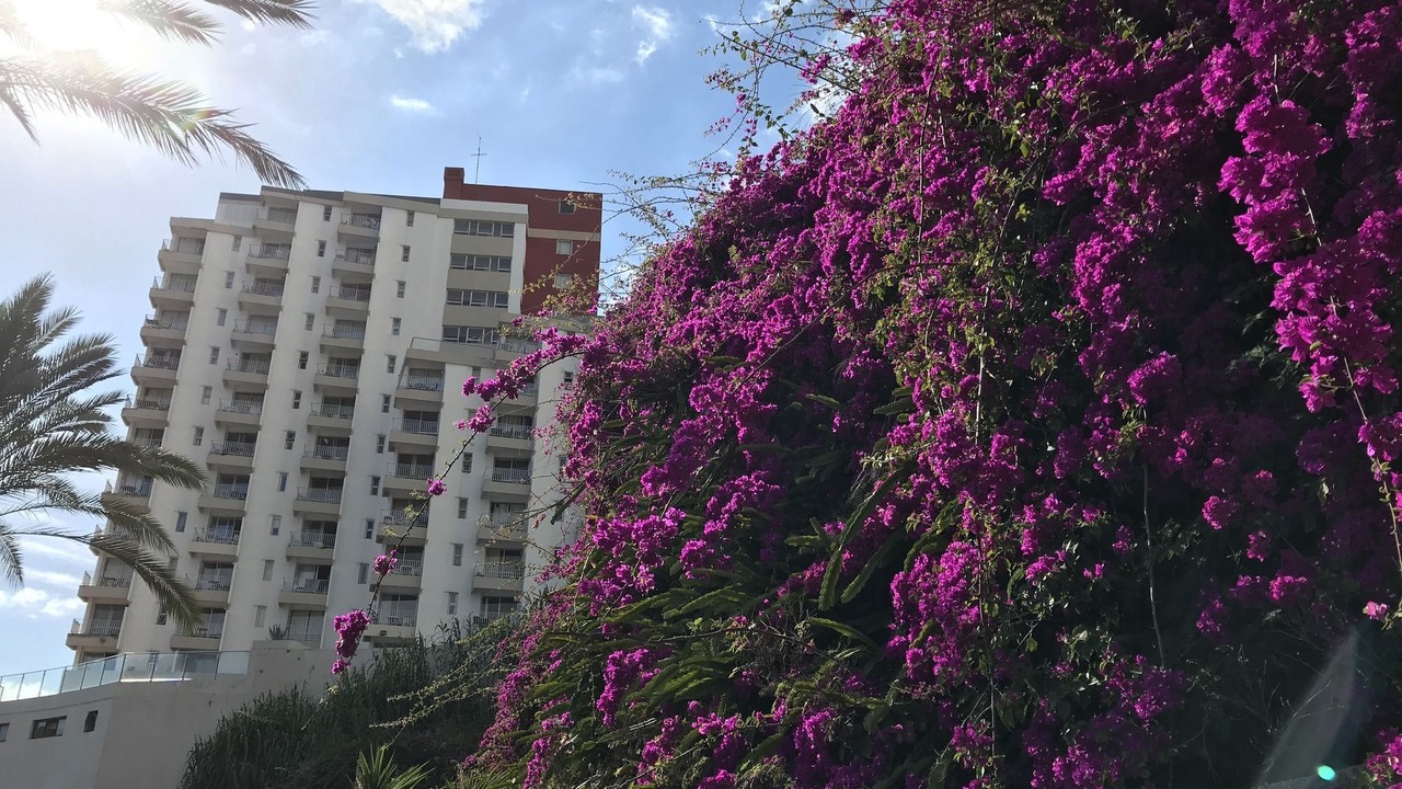 Photo of Buildings in Sao Martinho