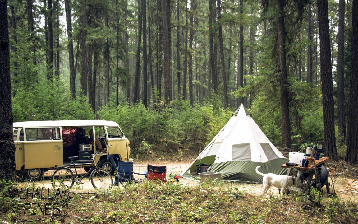Photo of Others in Slocan Park