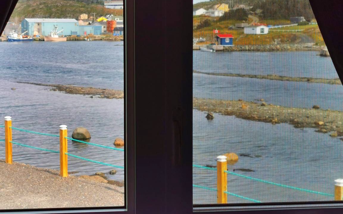 Photo of Others in Twillingate