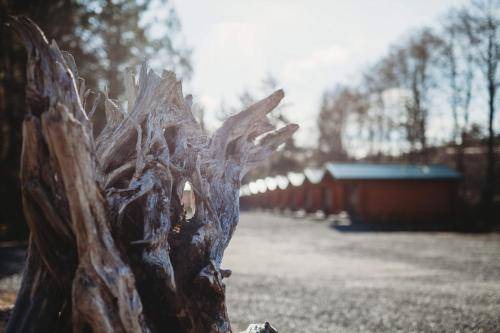 Photo of Others in Port Hardy