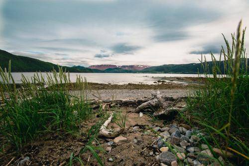 Photo of Others in Norris Point