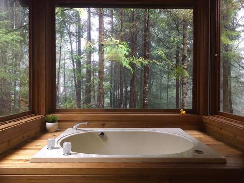 Photo of Others in Salt Spring Island