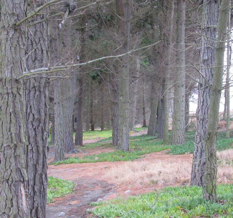 Photo of Others in Amberley